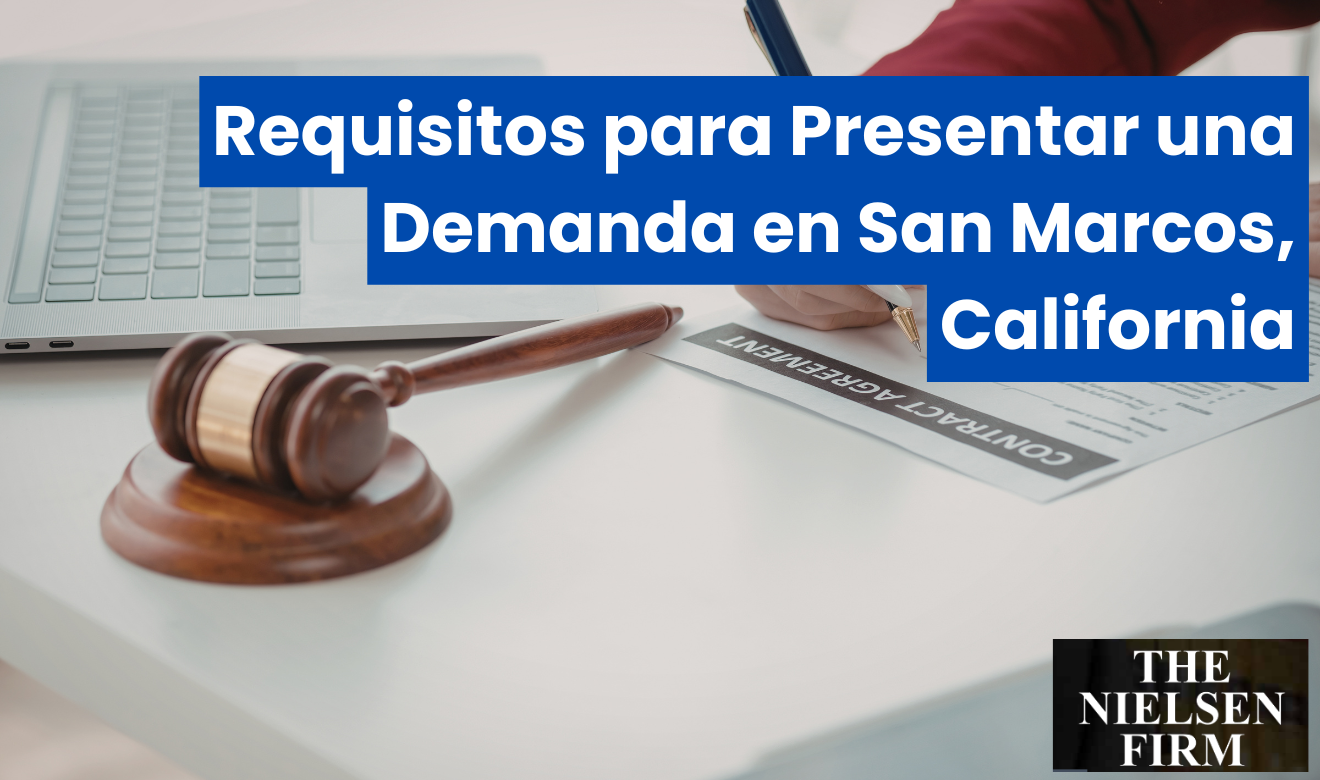 qué evidencia necesito para demanda San Marcos